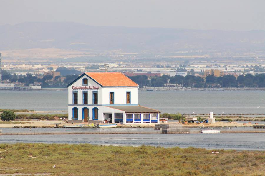 New Build - Villa - La Manga del Mar Menor - LA MANGA