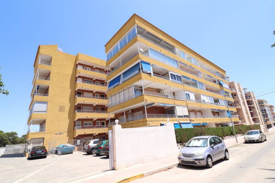 Reventa - Apartment - Torrevieja - Punta Prima
