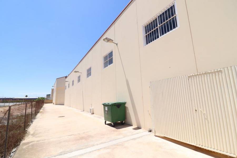 Reventa - Industrial unit - Los Montesinos - Centro