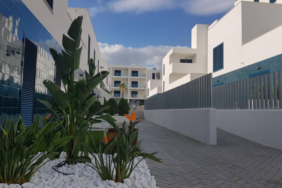 Nueva construcción  - Ground Floor - Orihuela Costa - Playa Flamenca