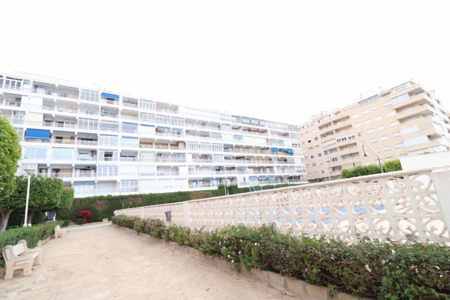 Resale - Apartment - Torrevieja - torrevieja